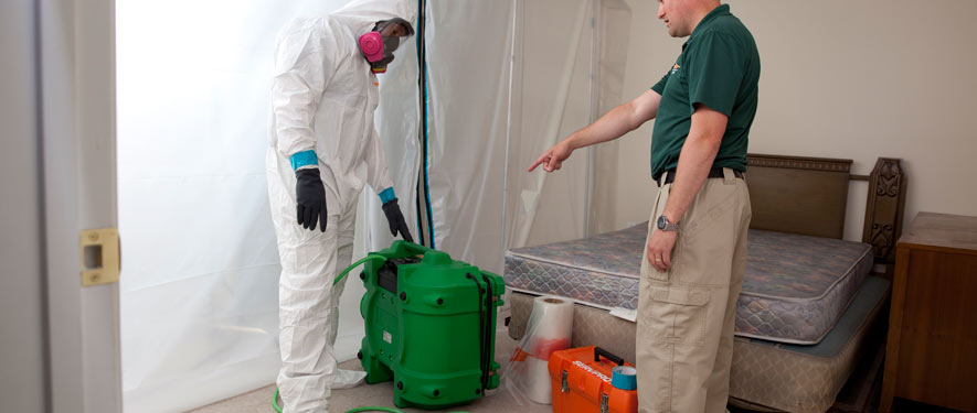 Florence, SC mold removal process